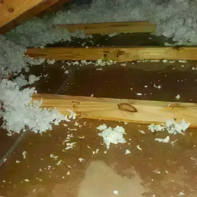 Attic Water Damage in Saint Regis Park, KY